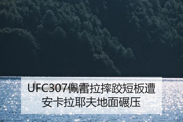 pei-lei-la-shuai-jiao-duan-ban-zao-an-ka-la-ye-fu-di-mian-nian-ya-2-286.jpg